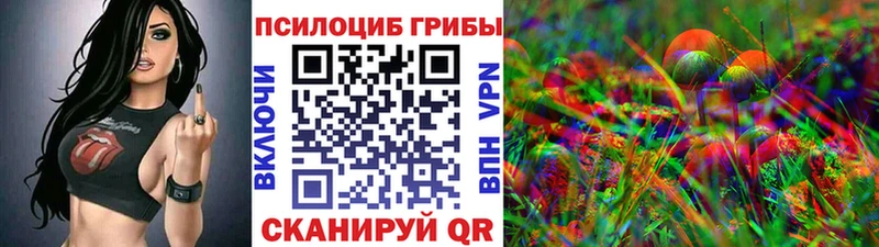 Псилоцибиновые грибы Psilocybe  Купить закладки  Керчь 